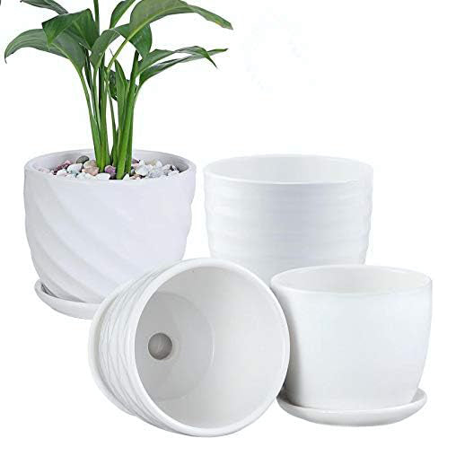 Cylinder Ceramic Planters