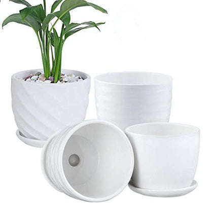 Cylinder Ceramic Planters